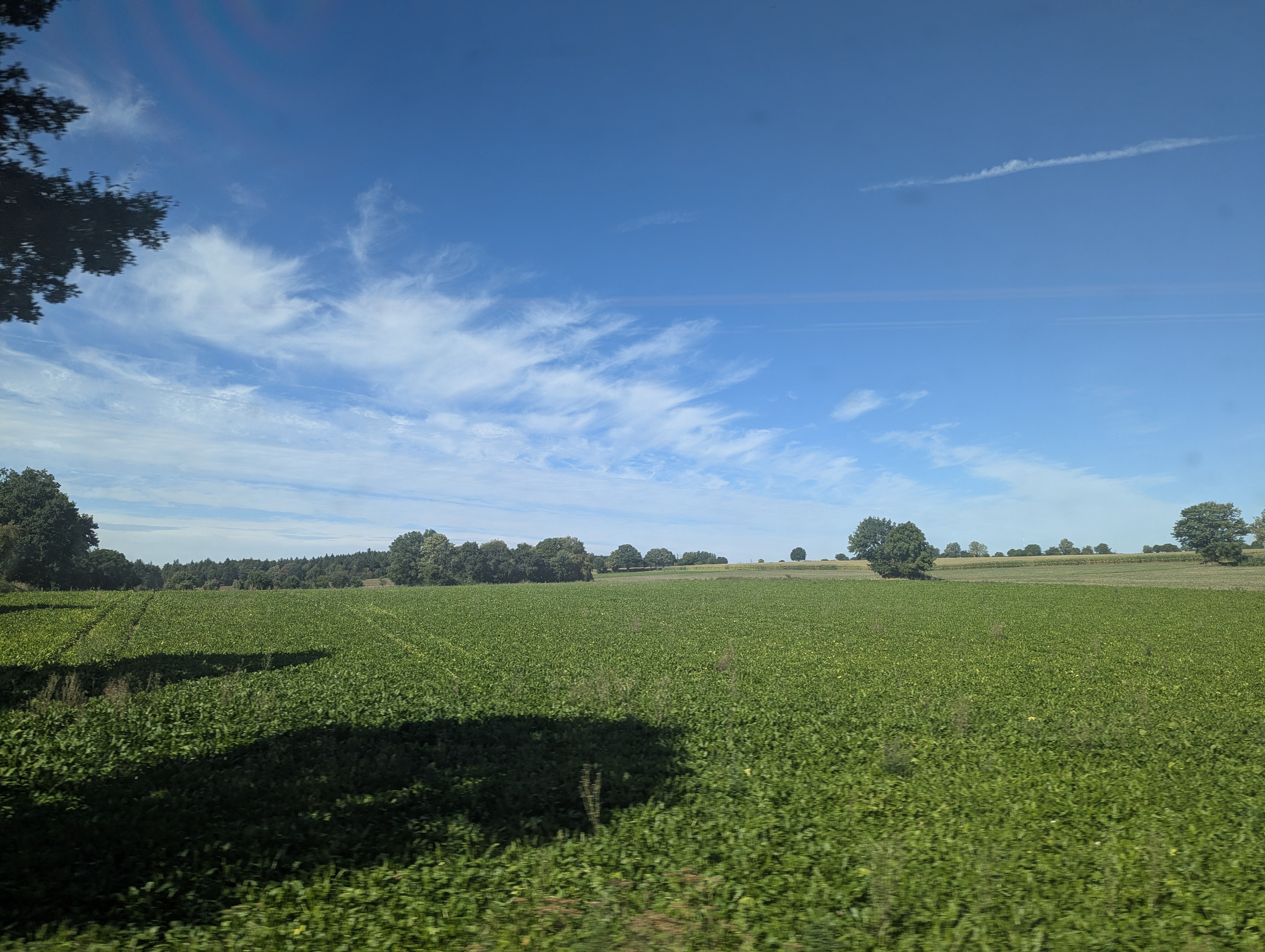 Train to Muenster, Germany